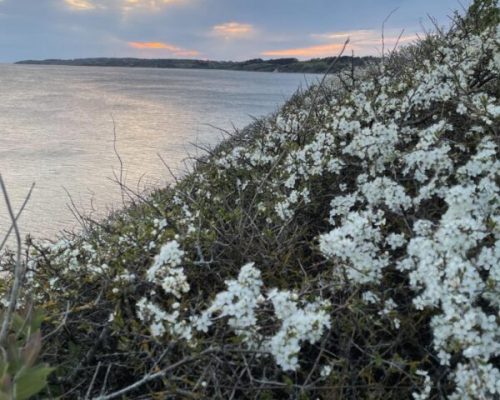 Yogaretreat på naturskønne Røsnæs